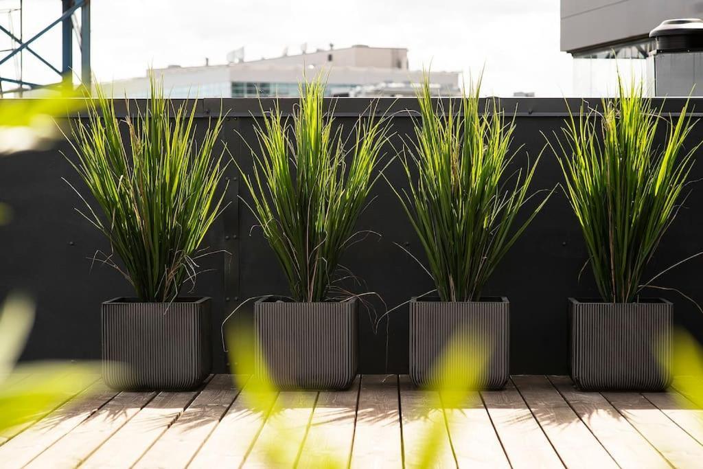 W Apartments Uus-Hollandi With Sauna Tallin Zewnętrze zdjęcie
